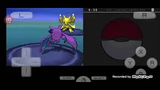 Pokemon Volt White Hn Rival