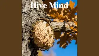 Hive Mind