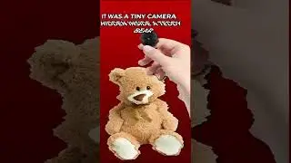 The First Nanny Cam!