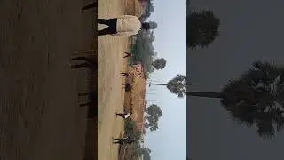 Today home ground playing cricket test match #cricket #playing #ipl