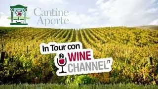 Cantine Aperte 2015 - In tour con Winechannel