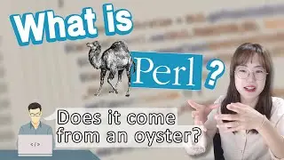 What is Perl? [Code Language Review]