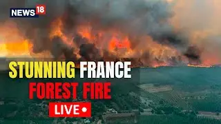 France News | France Fire | France Fire Today | Firefighters Douse Forest Fire | English News Live
