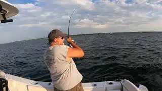 Summertime Striper Trolling using Umbrella's on the Gamefish 27