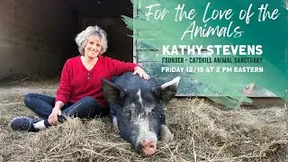 For the Love of the Animals - Rip Visits with Kathy Stevens, founder of Catskill Animal Sanctuary