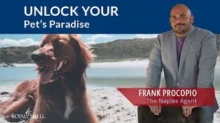 The TRUTH About Pet-Friendly Homes in Naples, Florida | Must-Know Tips