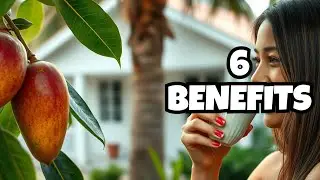 6 Surprising Benefits of Boiled Mango Leaves! #MangoLeaves #NaturalRemedies  #HerbalTea
