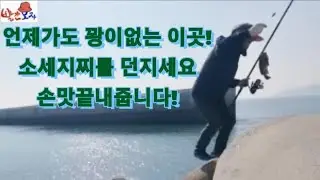 많은분들이 낚시하러 찾는이곳! #신진도 마도방파제 우럭 찌낚시포인트는 지금! 😆😆