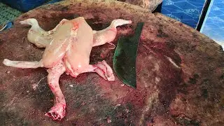 chicken high speed cutting no.1