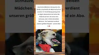 Kabang &ndash; Die Heldin ohne Schnauze, aber mit gro&szlig;em Herzen ❤️