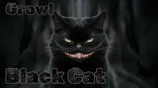 Black Cat Demonic Pulse: Daily Black Metal Music 【Growl 9】