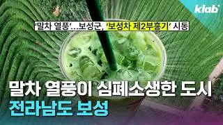 말차 열풍으로 화려하게 부활했다는 보성 근황｜크랩