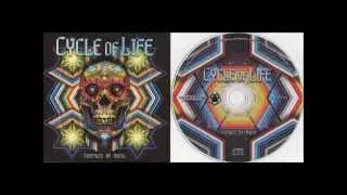 2012 vs Pragmatix - Interactive Contact