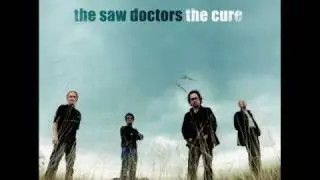 saw doctors the joyce country ceile band.wmv