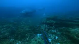 Diving the Princess Anne Wreck