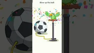 Help the Parrot! 🦜 Mystery Level Solved! ✨ #DOP #GamePlay