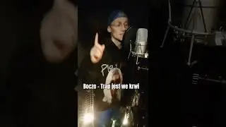Boczo - Trap jest we krwi (II zwrotka) #polskirap #polskitrap #polskihiphop #podziemie #shorts #trap