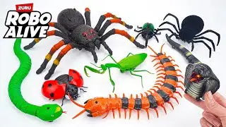 🐰toy asmr🐰 ZURU Robo Alive Giant Tarantula & Remote Control Naja Cobra ASMR 🐍 Satisfying Unboxing 🔇