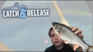 Catch & Release | A VR Fishing Game