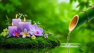 Relaxing Music + Water Sounds 🌿 Anxiety Relief, Stress Release, Peace of Mind & Restful Sleep