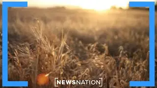 Why is China buying up land in America? | Banfield