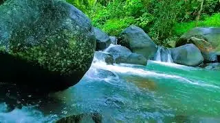 Relaxing Sounds For Sleeping - Tranquil River - Forest Scene For Meditation & Relaxation