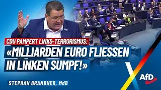 CDU pampert Links-Terrorismus: