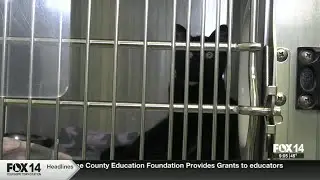 People for Pets to hold spooky fundraising event