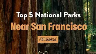 🌉 National Parks RV Trip from San Francisco 2025 | Complete Guide to Yosemite, Redwood & More 🌲