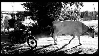 Pastuch