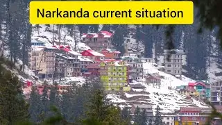 Narkanda current situation on 18 january| Shimla Narkanda | Himachal Pradesh 