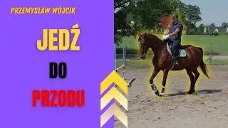 Koń „ucieka zadem”? Jak poprawić równowagę i zaangażowanie zadu podczas jazdy PUBLIKACJA