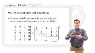 &Aacute;lgebra Lineal - Matriz escalonada - Jes&uacute;s Soto