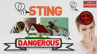 beware of bees and wasps