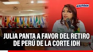 🔴🔵 Julia Panta a favor del retiro de Perú de la Corte IDH: 