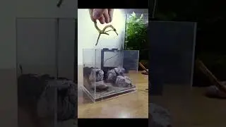 P&oacute;ł litra  - akwarium kt&oacute;re postawisz wszędzie.