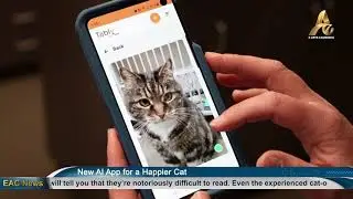 New AI App for a Happier Cat