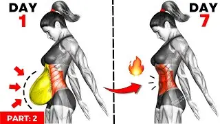 ➜2-Week Easiest Belly Fat Loss Workout to Slim Your Waist: Top 30-Min Exercises to Burn Belly Fat #2