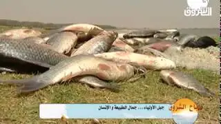 جبل الأولياء .. جمال الطبيعة والإنسان  |  #صباح_الشروق