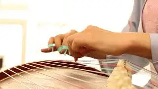 [Guzheng] Đài Hoa Cúc - Ngọc Diện Tiểu Yên Nhiên