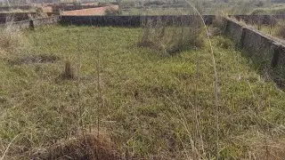 🏡 Bashundhara P-Block Land for Buy | Prime Location | 3,4,5,6,10 Katha-Plot | PropertyBD 🏡