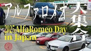 アルファロメオデイ 2025へ今年も参加してきました！たくさんのアルファの毒がまわったオーナーさんが大集合です / 激安中古外車のアルファ159を楽しむ