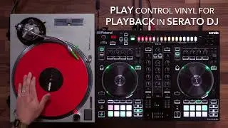 Roland DJ-505: DVS