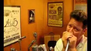 ElectroVoice EV 627 Dynamic Cardioid Customized Harp Mic
