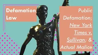 What is Public Defamation Law? | Public-Figure Plaintiffs | Torts