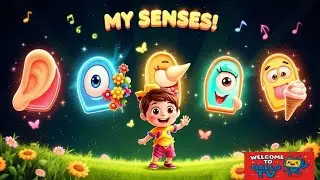 Learn 5 Senses in 2 minutes with Fun Animation | DALLO TV