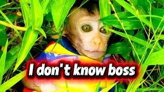 I don't know boss