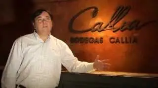 BODEGA CALLIA