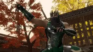 Dead or Alive 6 - Arcade Hayabusa