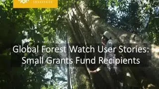 GFW Small Grants Fund User Stories